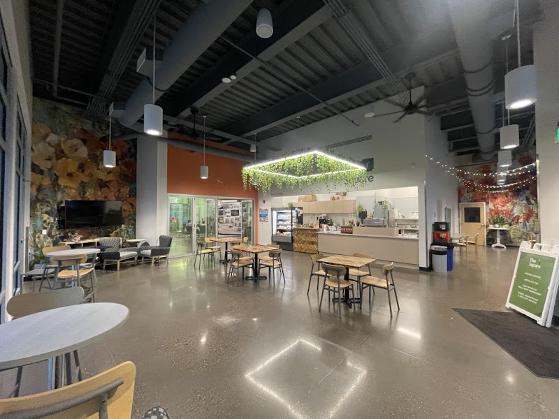 The Square - Ike At The Y