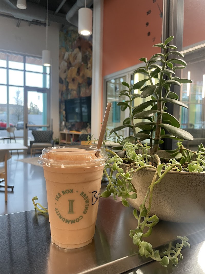 The Square - Ike At The Y