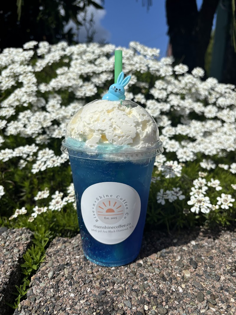 Rise+N+Shine Coffee Co