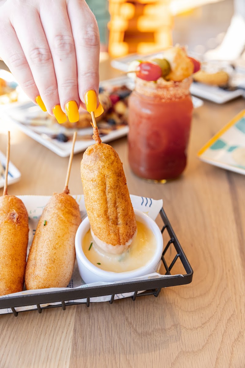 Biscuit Belly - Middletown