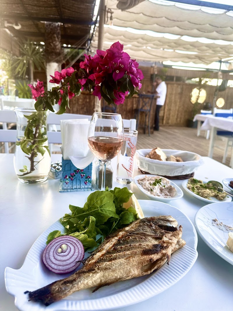 Hummingbird Bar and Kitchen