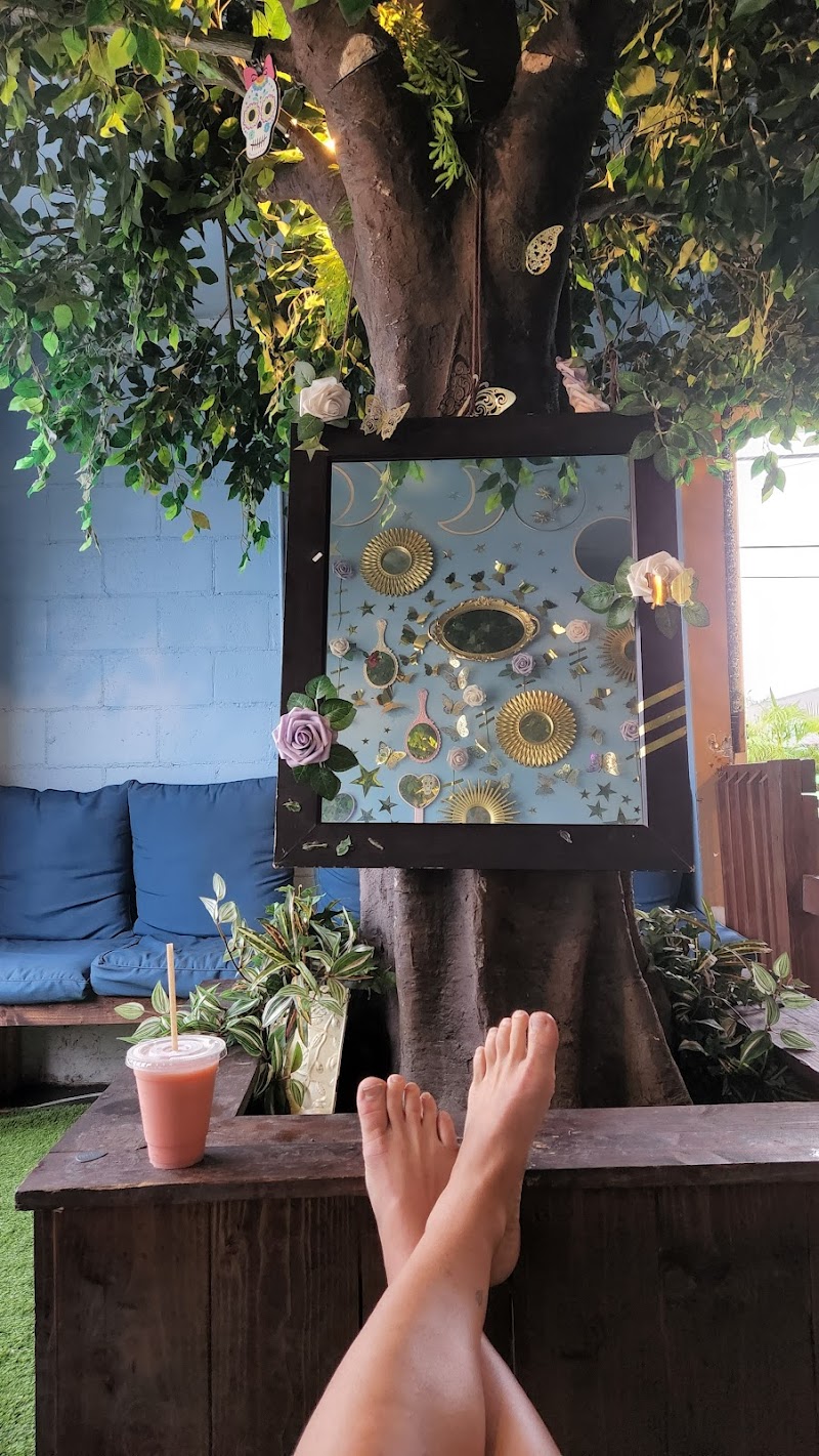 Steep Station Kava Bar