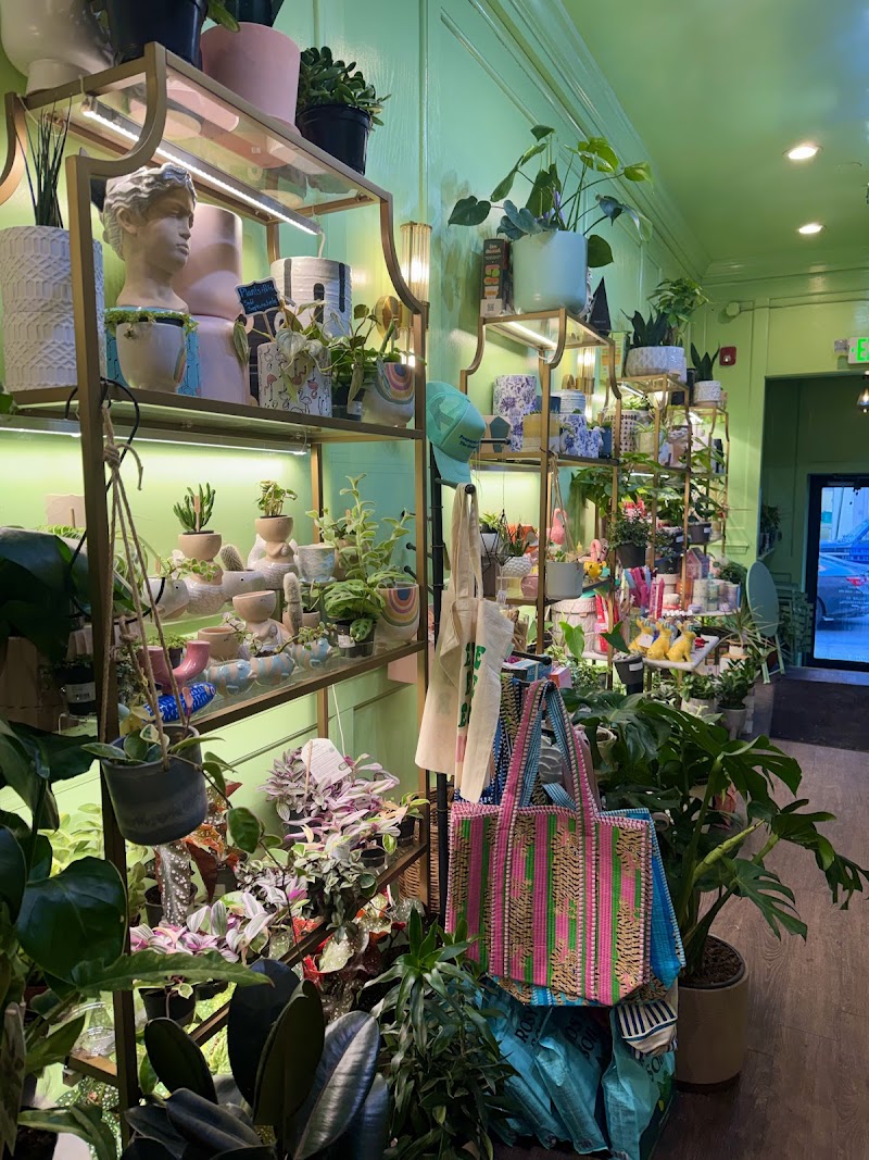 The Ground Rittenhouse