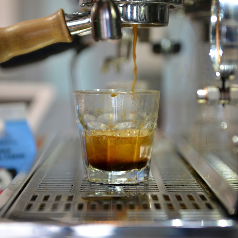 Borealis Coffee Company