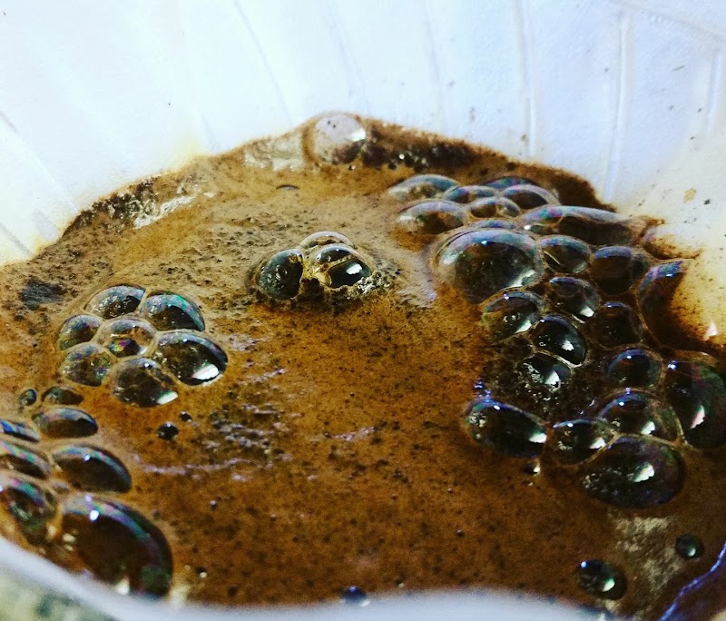 North Fork Coffee Roasters