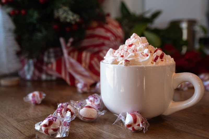 Cafe Floralia X The Circuit