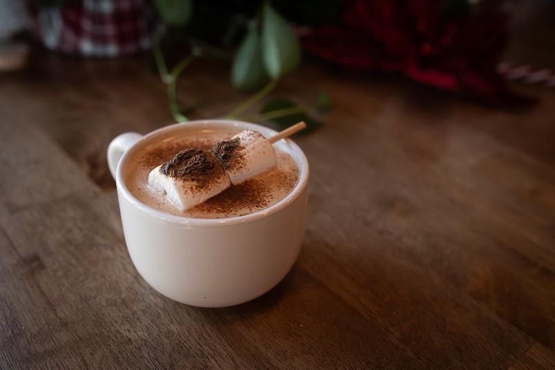 Cafe Floralia X The Circuit