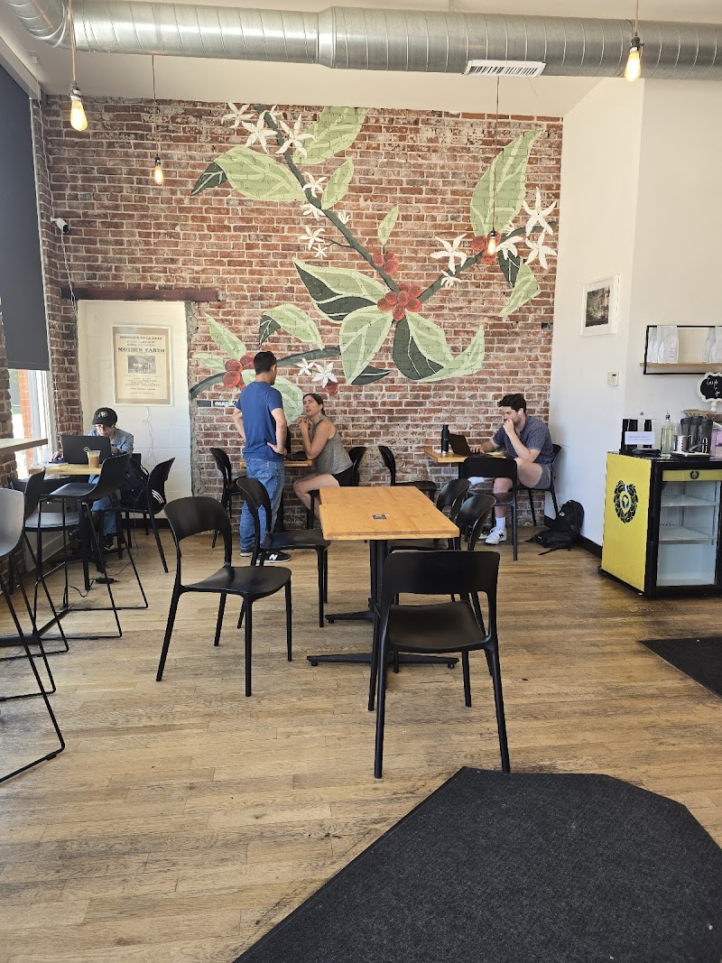 Cherry Bean - Coffee