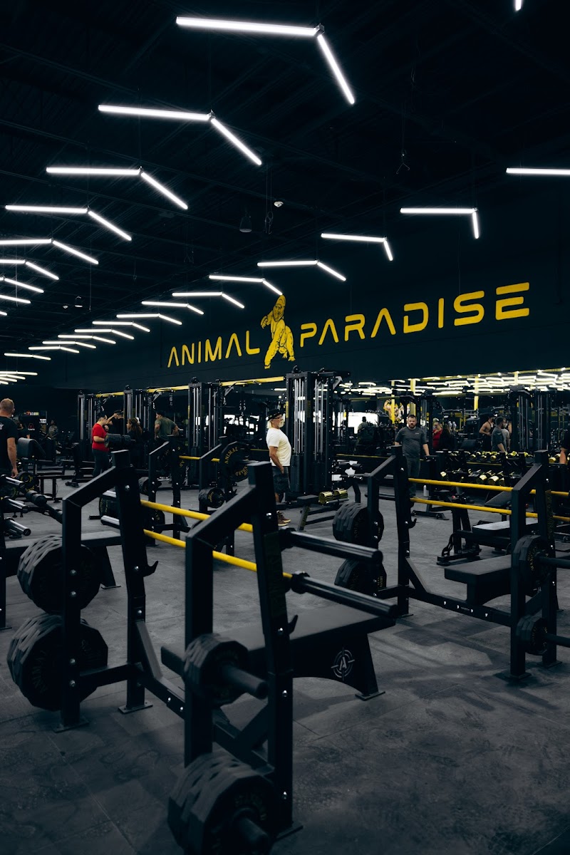 Animal Paradise Gyms | Modern Bodybuilding & Fitness Facility
