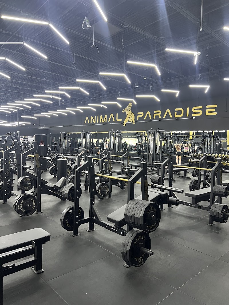 Animal Paradise Gyms | Modern Bodybuilding & Fitness Facility