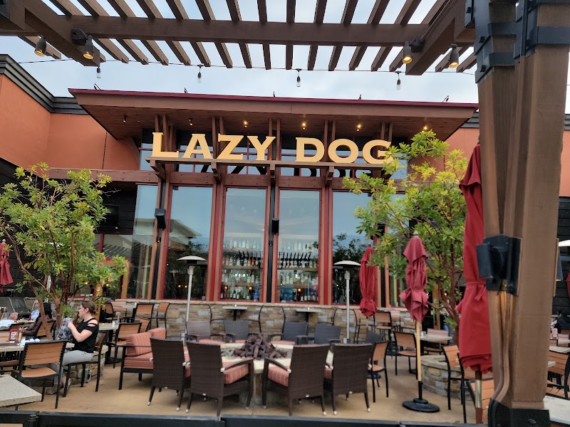 Lazy Dog Restaurant & Bar