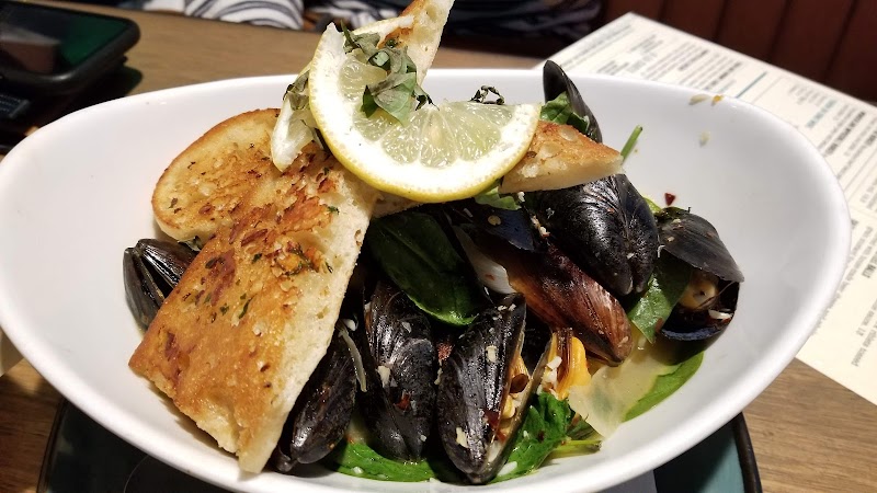 Wonderland Ocean Pub