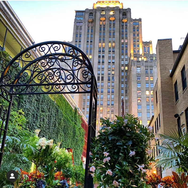 Edera Italian Eatery