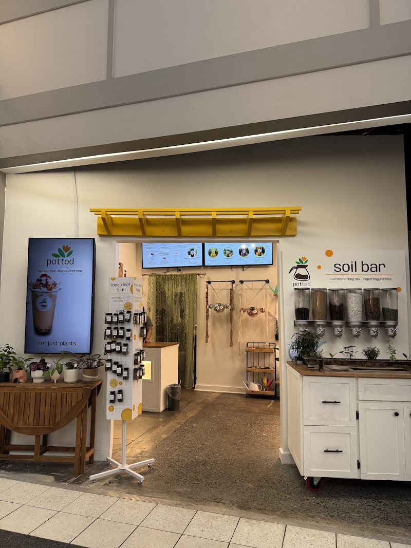 Potted: bubble tea + coffee + loose leaf tea