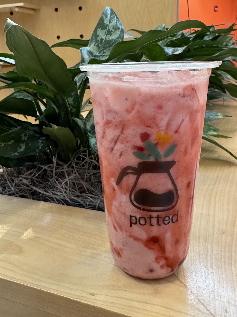 Potted: bubble tea + coffee + loose leaf tea