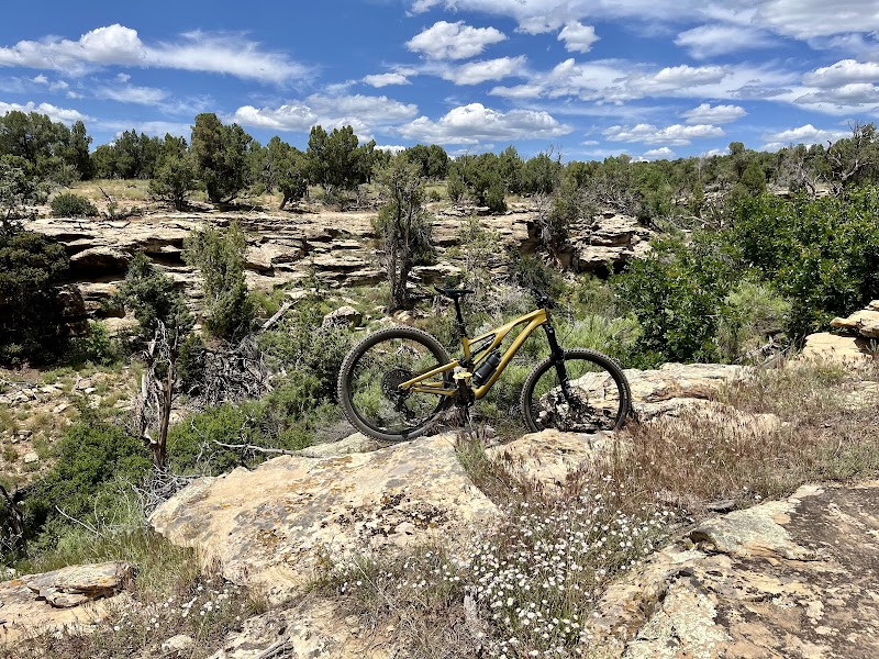 Kokopelli Bike & Board