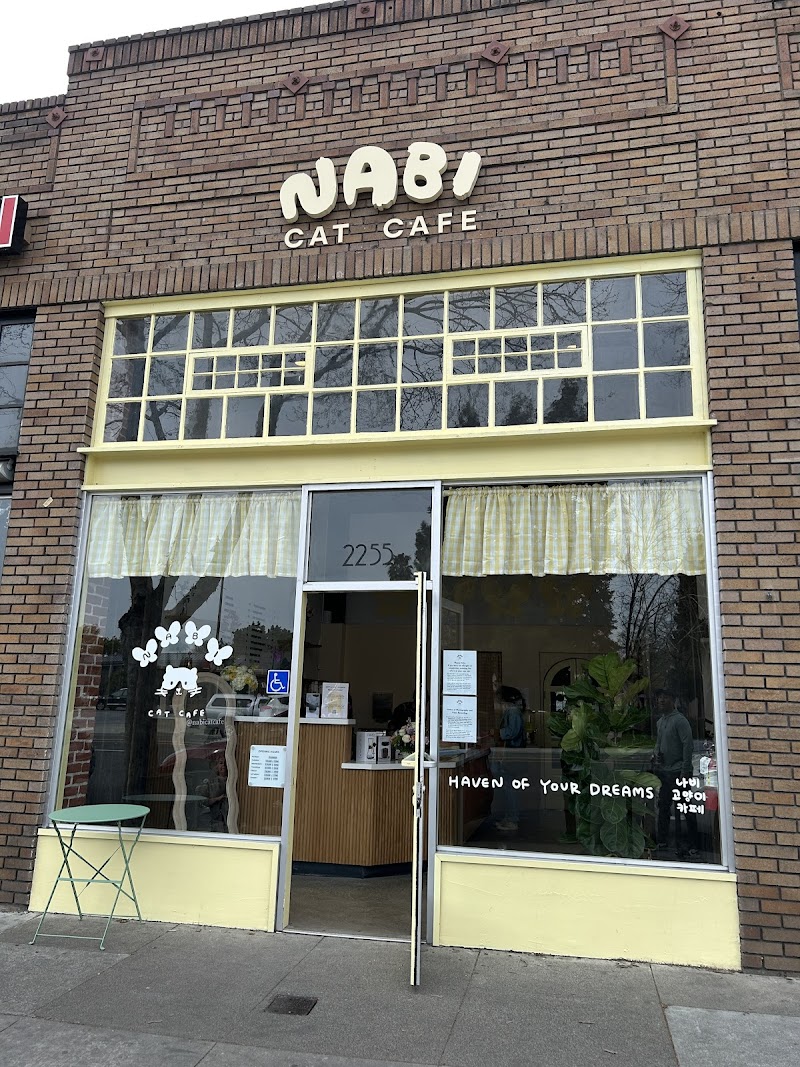 Nabi Cat Cafe
