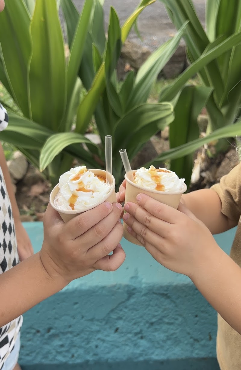 コーヒー sWell Swell Coffee - Kahuku, HI | joe coffee