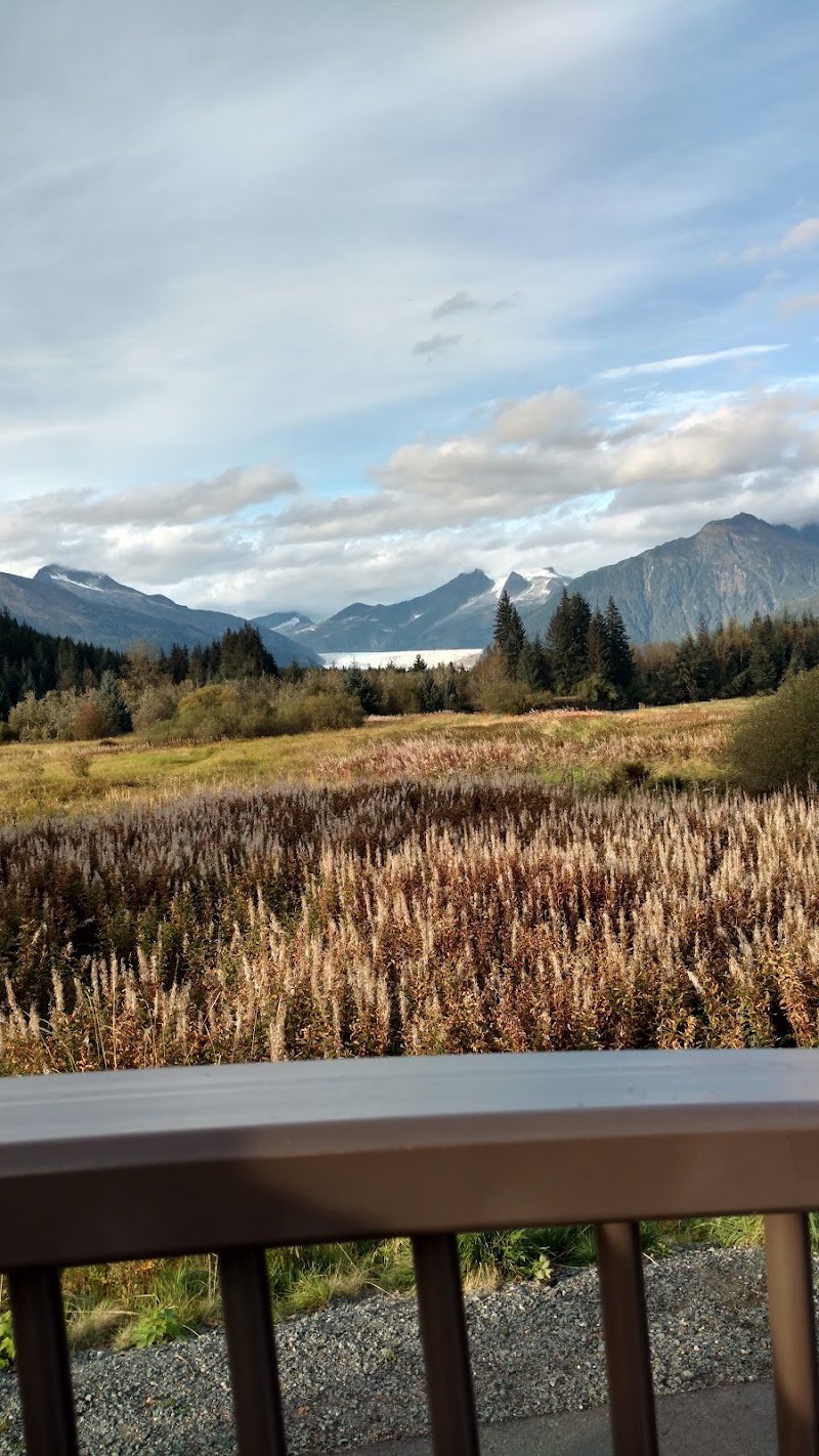 Flying Squirrel Espresso