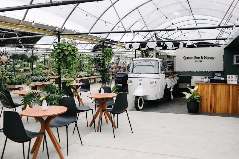 Queen Bee & Honey Coffee