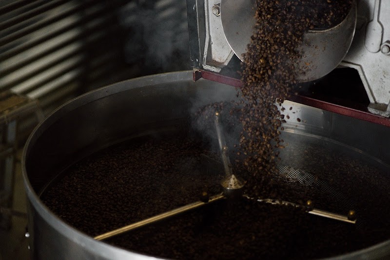 Midnight Animal Coffee