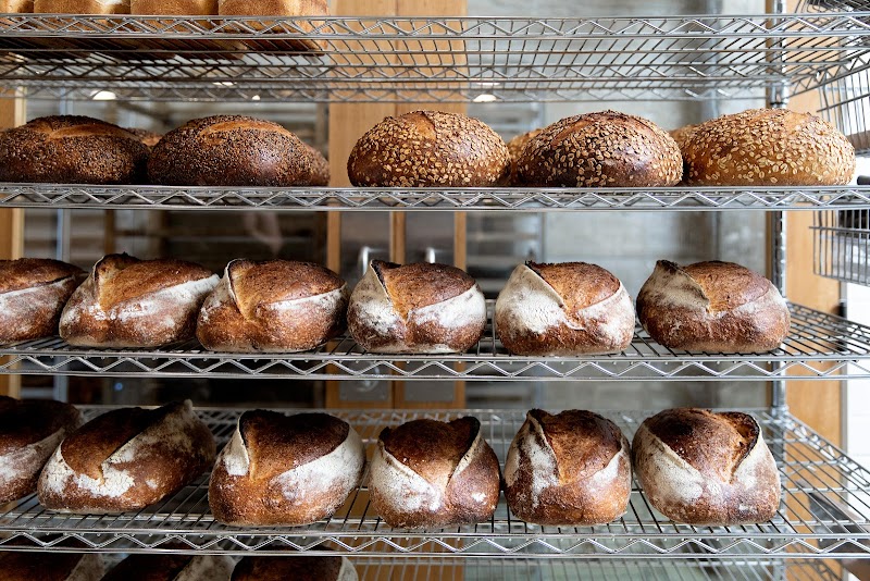 Backhaus | San Mateo