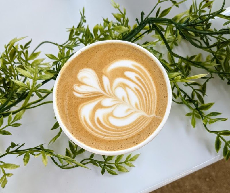 Creature Coffee Catering