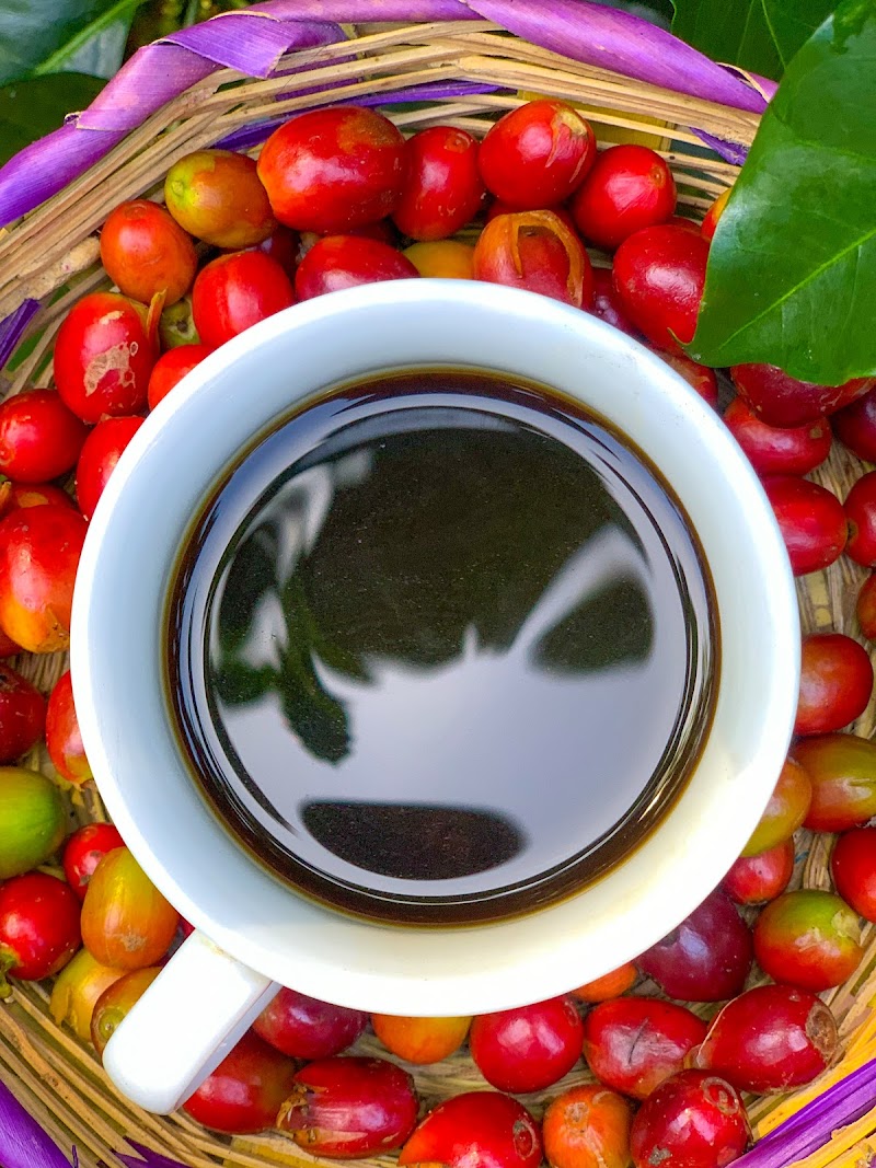 Equal Roots Coffee Roasters