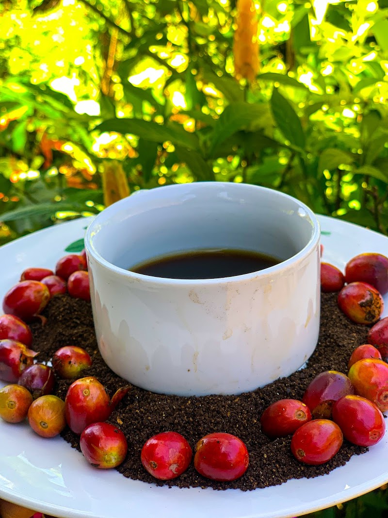 Equal Roots Coffee Roasters