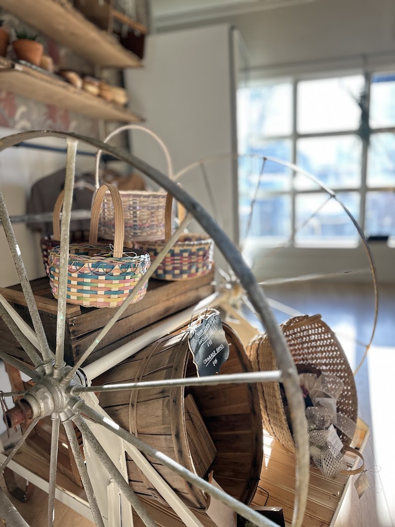 Buzzed Bean Coffee Co.