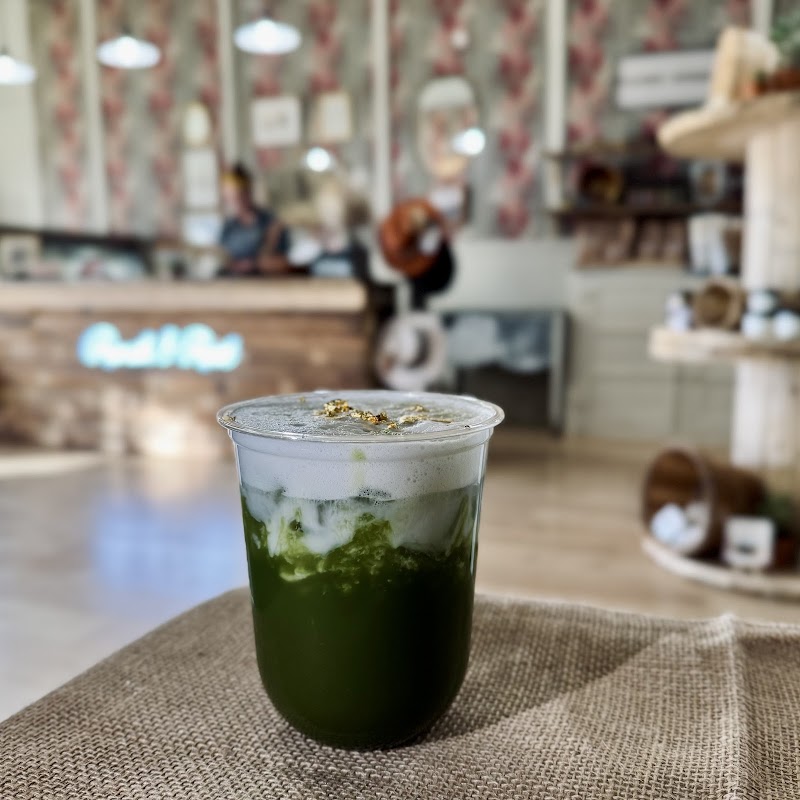 Buzzed Bean Coffee Co.