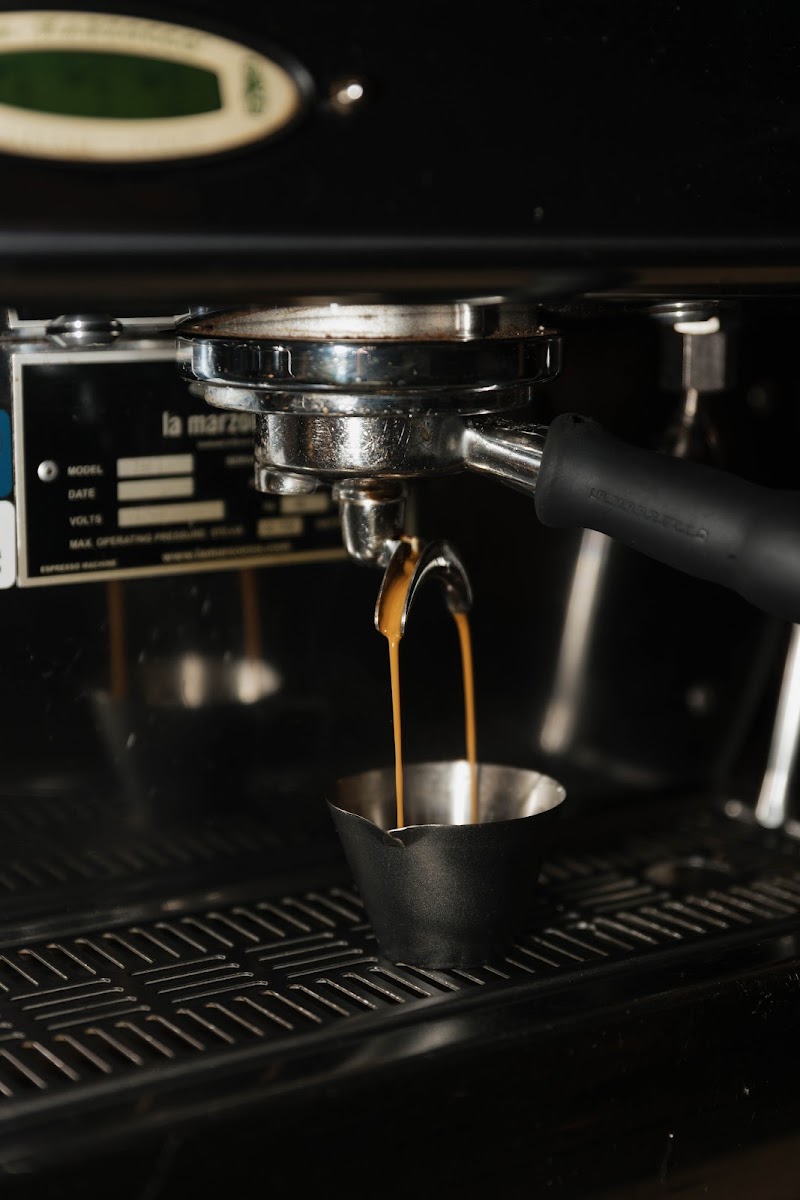 Knucklebones Elixir Co