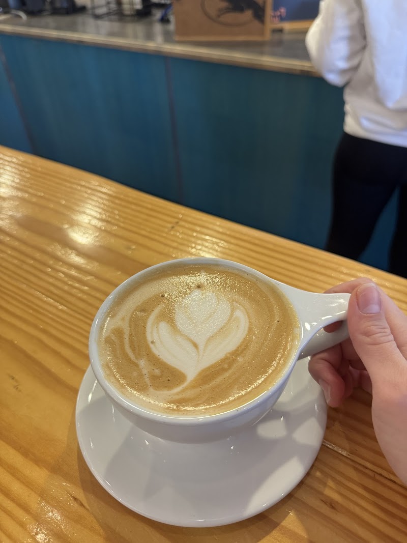 Coffee Hound Uptown Normal