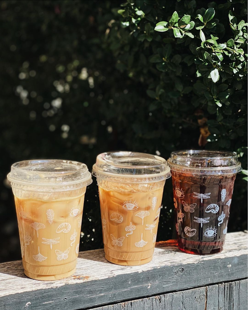 Life Alive Organic Cafe Brookline