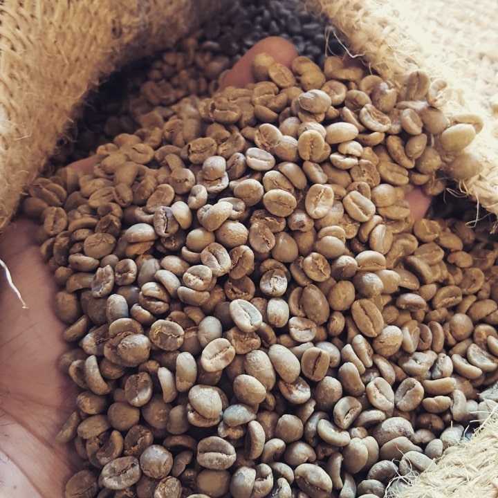 San Marco Coffee, Inc.