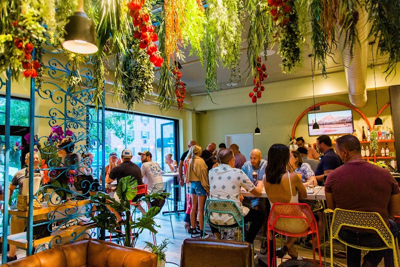 Mister Oso - Wash Park