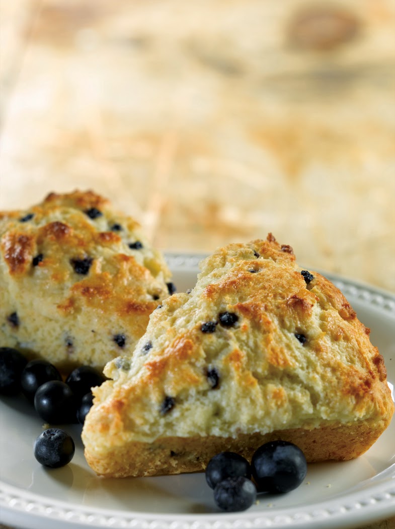 Northern Light Espresso Bar and Cafe