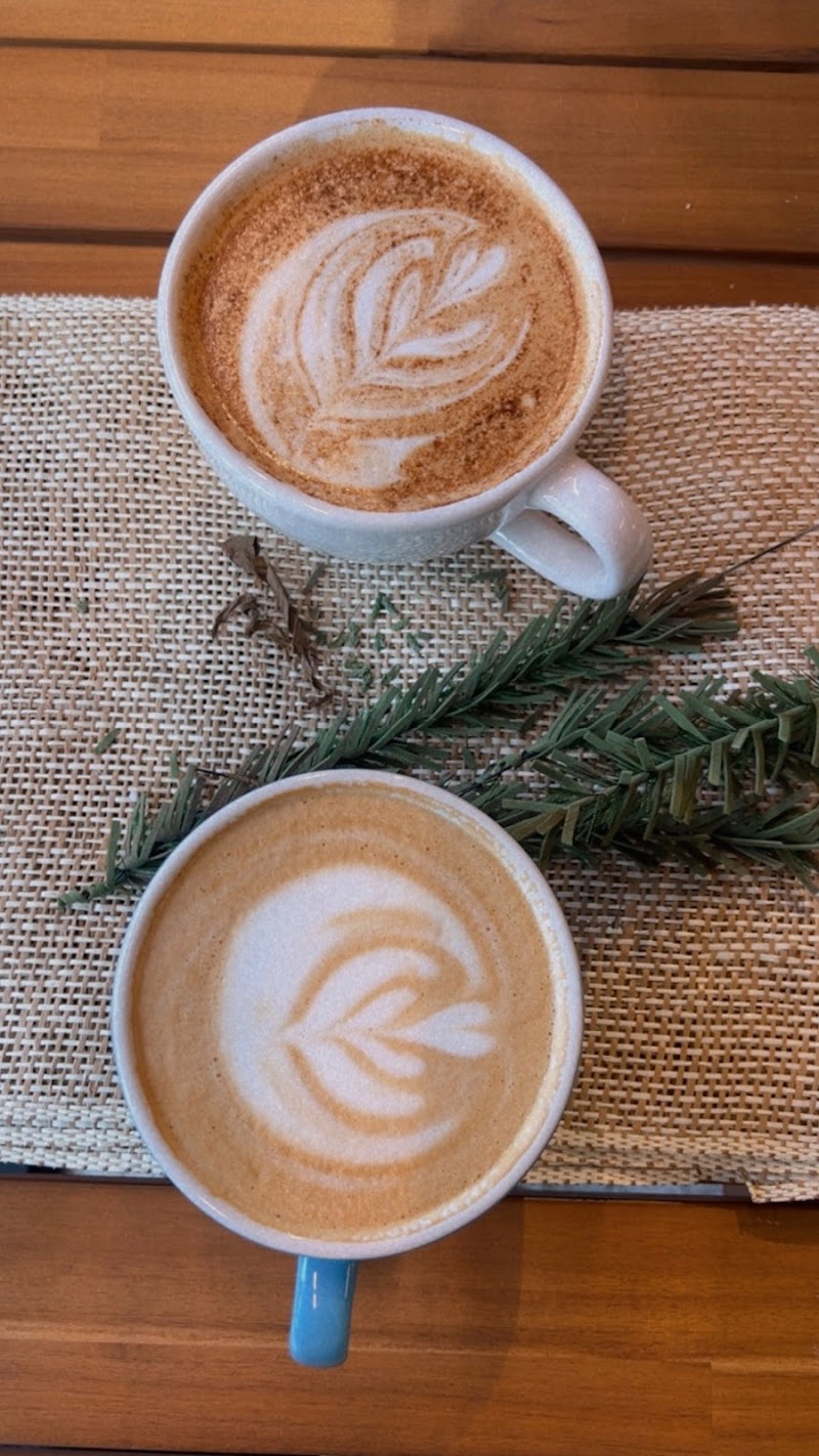 Indaba Coffee Roasters