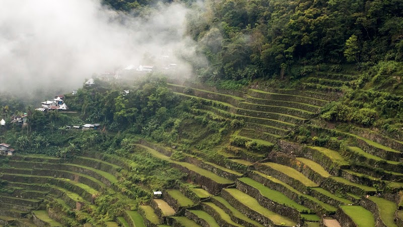 Boondocks Coffee Roasters