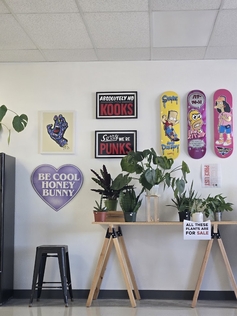 White Rabbit Coffee Co.