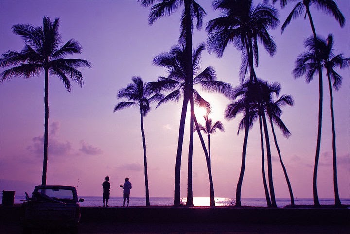 Wahine Kai Shave ice, Kona Coffee and Tea Station/ Hawaiian Tea