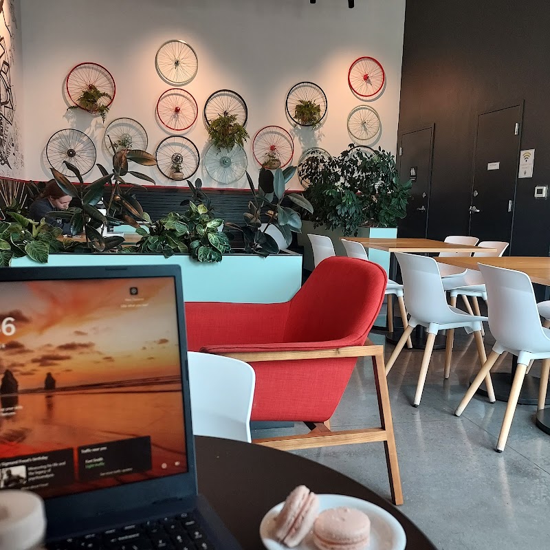 Red Kite Coffee Company