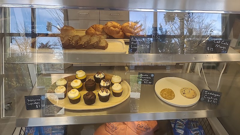 Cat Cafe - Kokomo Humane Society