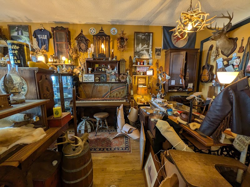 Lamplighter Trading Company