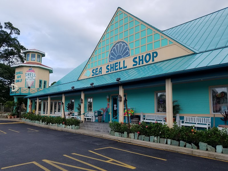 Sea Shell Shop