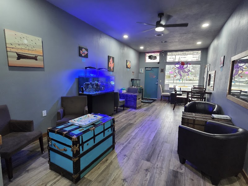 Kraken Coral & Coffee