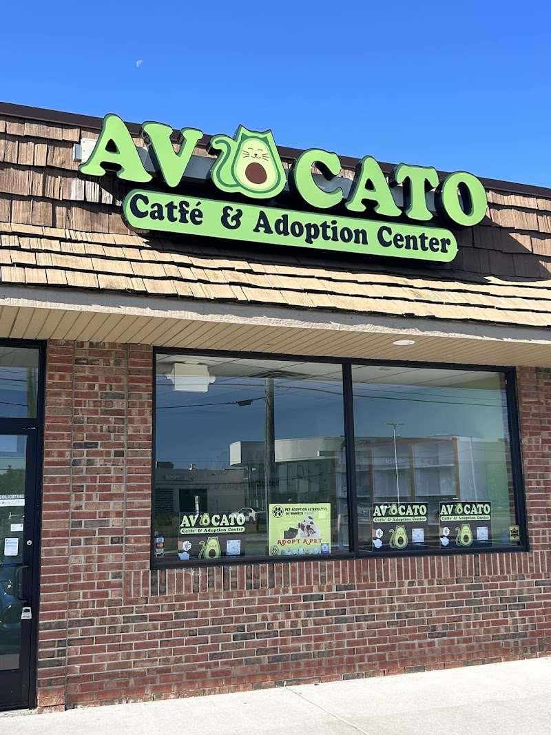 Avocato Catfé and Adoption Center