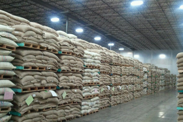 Coffeerunt - Wholesale Coffee