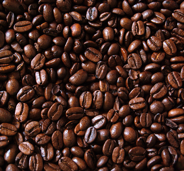 Coffeerunt - Wholesale Coffee