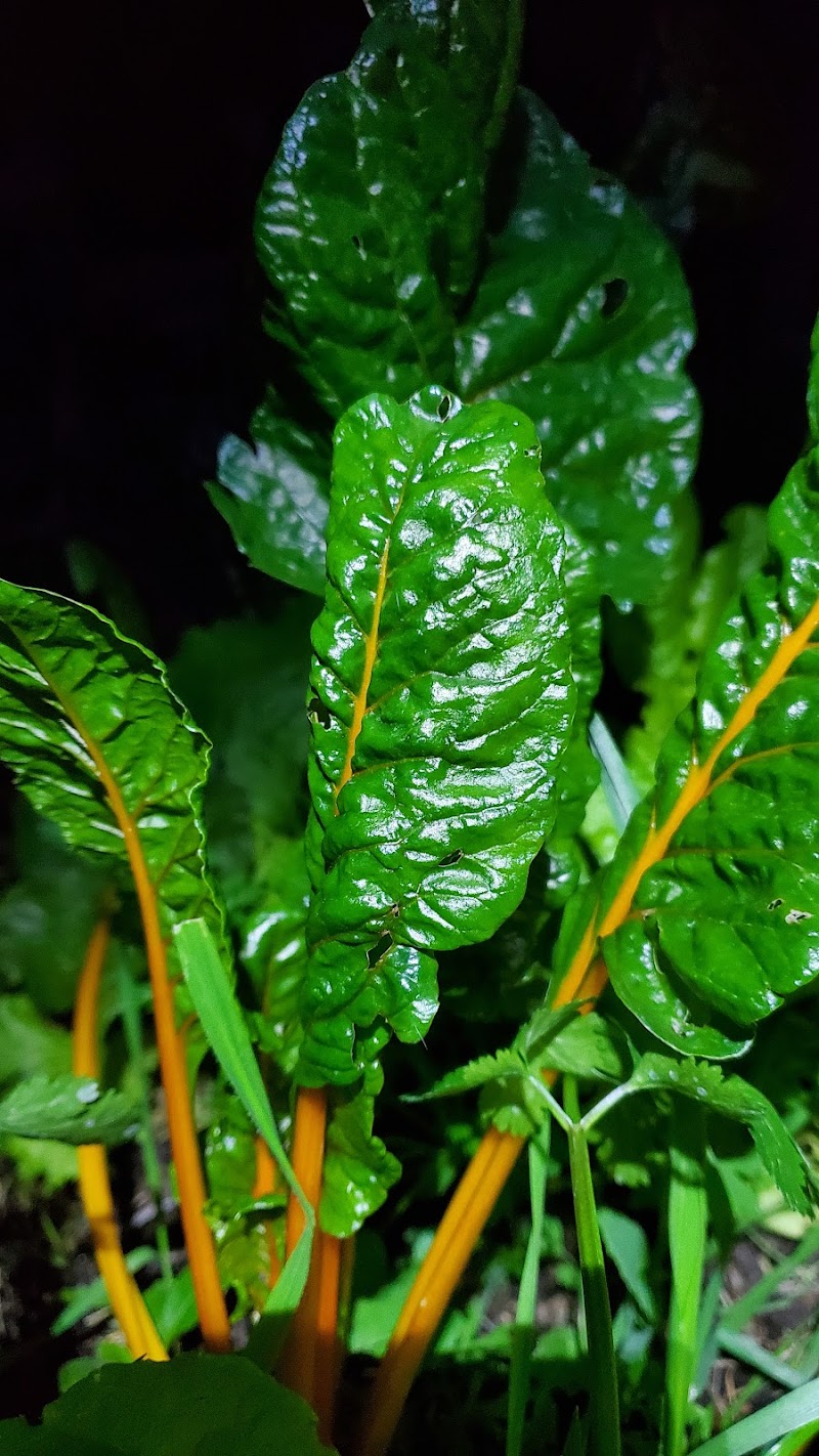 Moksha Coffee Roasting LLC